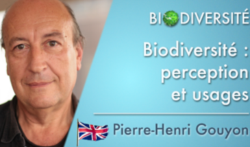 Biodiversity: perception and uses