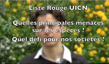 Espèces menacées - Quelles principales menaces sur les espèces ? Quel défi pour nos sociétés ?