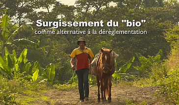 Surgissement du bio comme alternative à la dérèglementation