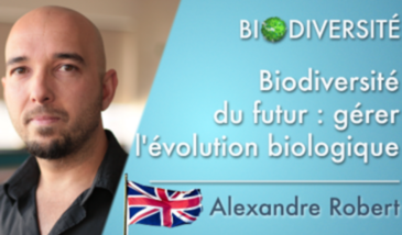 The future of biodiversity: managing biological evolution