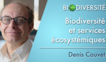 Biodiversité et services écosystémiques