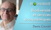 Biodiversité et services écosystémiques