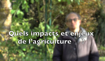 Quels grands impacts et enjeux de l’agriculture ?
