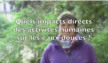 Quels impacts directs des activités humaines sur les eaux douces ?