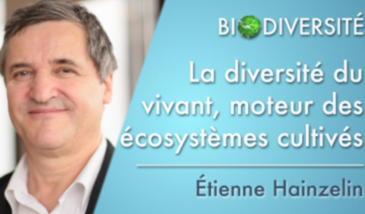 La diversité du vivant, moteur des écosystèmes cultivés