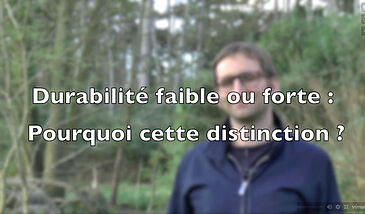 Durabilité faible, durabilité forte : pourquoi cette distinction ?