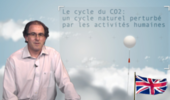 Carbon cycle: a natural cycle disrupted by human activity