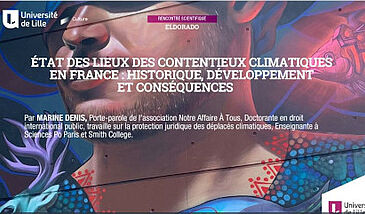 État des lieux des contentieux climatiques en France : historique, développement et conséquences