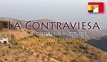 La Contraviesa, un vignoble d'altitude