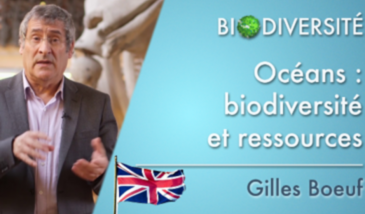 Oceans: introduction to biodiversity and resources - Clip