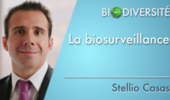 La biosurveillance