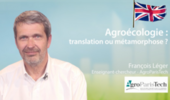 Agroecology: translation or metamorphosis ?