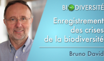 Enregistrement des crises de la biodiversité