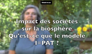 Qu’est-ce que le modèle IPAT ?