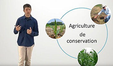 L'agriculture de conservation