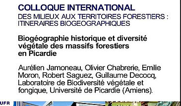 Biogéographie historique et diversité végétale des massifs forestiers en Picardie - La biogéographie historique des forêts