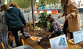 Portrait les 48heures de l’agriculture urbaine