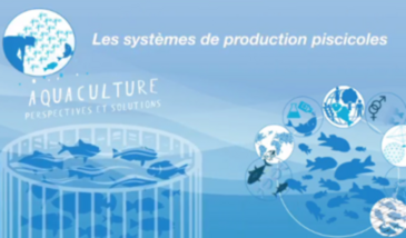 Les systèmes de production piscicoles