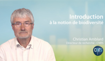 Introduction à la notion de biodiversité