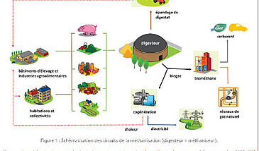 Concepts et chiffres de l'énergie : La méthanisation agricole