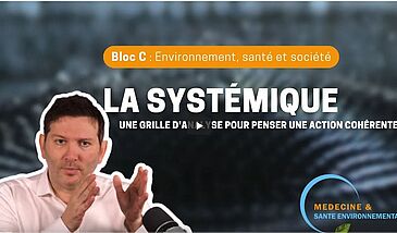 La systémique, une grille d'analyse pour penser une action cohérente