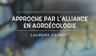 L’approche par l’Alliance en agroécologie