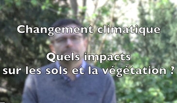 Changement climatique : Quels impacts sur les sols et la végétation ?