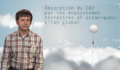 Absorption CO2 par les écosystèmes terrestres et océaniques : bilan global