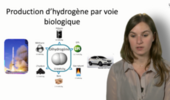 Production d'hydrogène par voie biologique