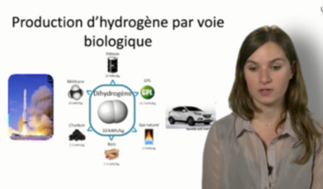 Production d'hydrogène par voie biologique