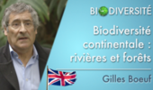 Continental biodiversity: rivers and forests - Clip