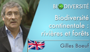 Continental biodiversity: rivers and forests - Clip