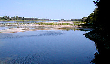 Préservation de l’environnement et gouvernance de la Loire, une histoire mouvementée