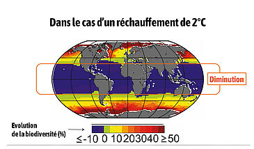 Effets du changement climatique sur les milieux terrestres et marins