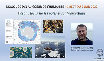 Océan : focus sur les pôles et sur l'antarctique