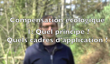 La compensation écologique : quel principe ? quels cadres d'application ?