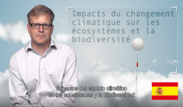 Impactos del cambio climático en los ecosistemas y la biodiversidad