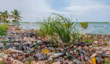 Technicien·ne en dépollution des sites et sols pollués