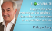 L'approche écosystémique des pêches : réconcilier conservation et exploitation marine