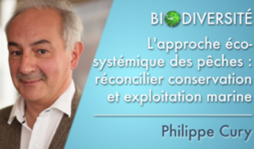 L'approche écosystémique des pêches : réconcilier conservation et exploitation marine