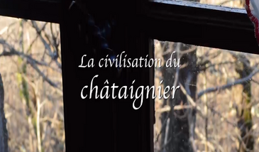 La civilisation du châtaignier