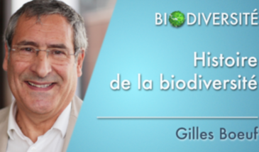 Histoire de la biodiversité