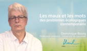 Les maux et les mots des problèmes écologiques contemporains