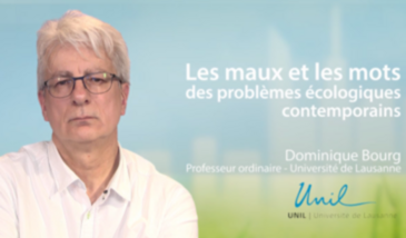 Les maux et les mots des problèmes écologiques contemporains