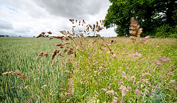 L'Agroécologie