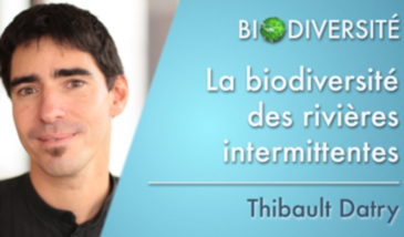 La biodiversité des rivières intermittentes