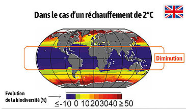 The effects of climate change on terrestrial and marine environments