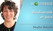 Biodiversité et paix