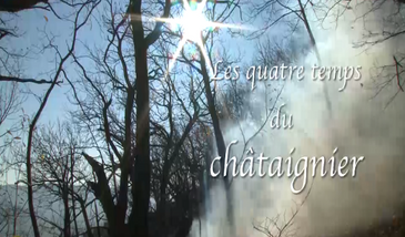 Les quatre temps du châtaignier