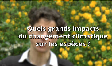Changement climatique – Quels grands impacts sur les espèces ?